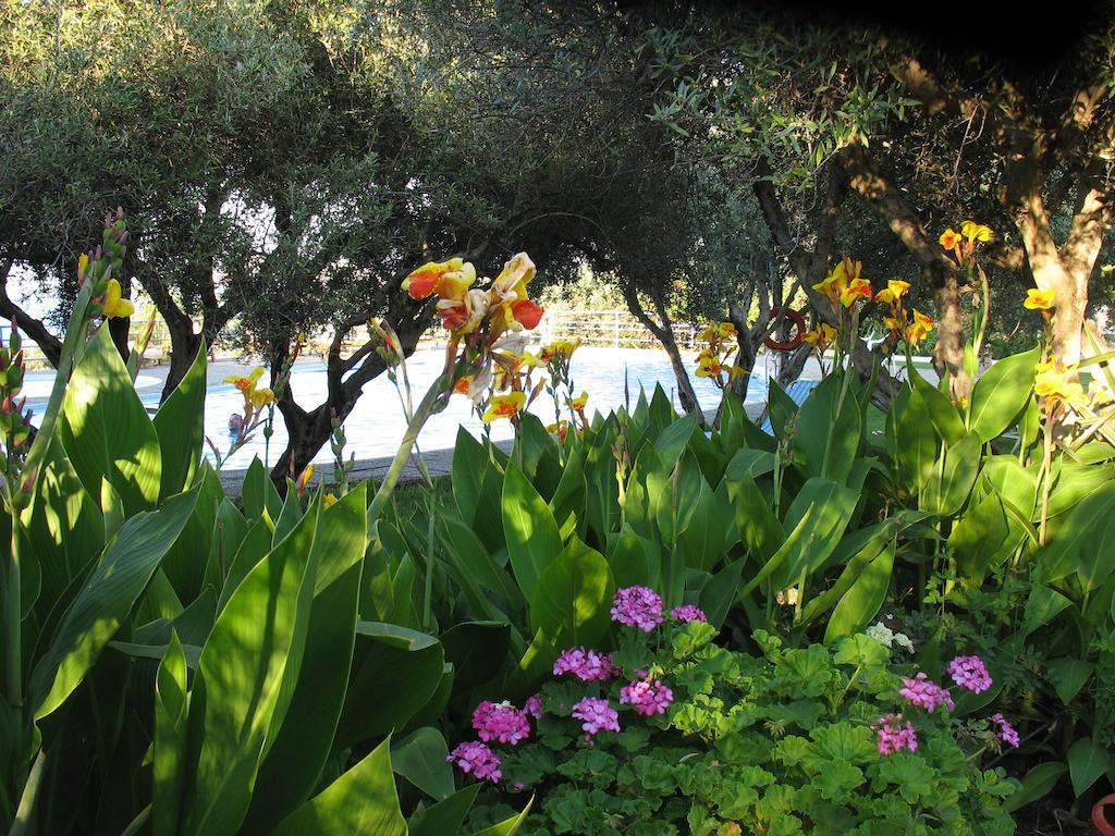 קליבס Artemis Apartments מראה חיצוני תמונה