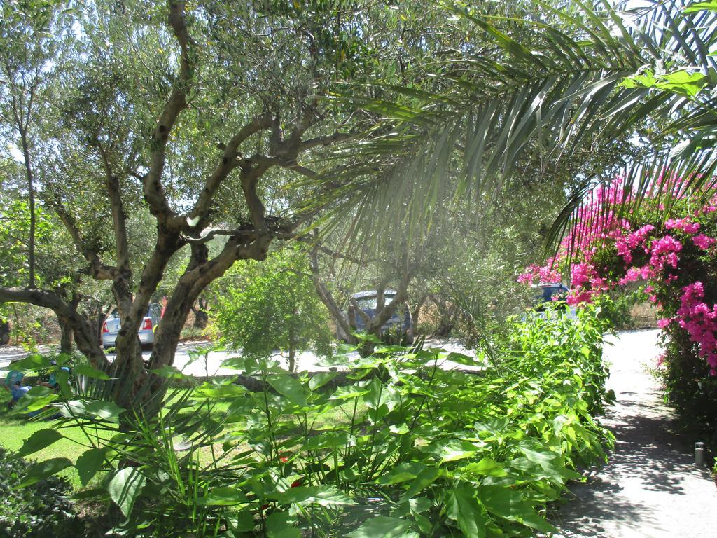 קליבס Artemis Apartments מראה חיצוני תמונה